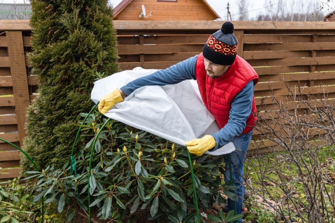 How to prepare your garden for winter